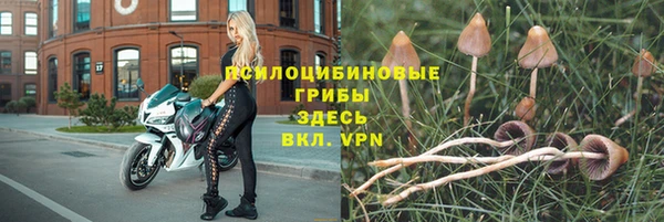 тгк Верхний Тагил