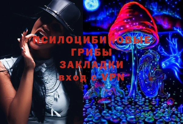 спайс Богородицк