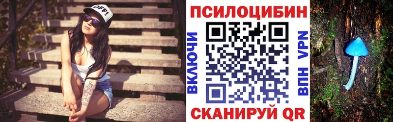Галлюциногенные грибы GOLDEN TEACHER  наркошоп  Вичуга 