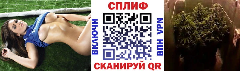 Бошки Шишки ГИДРОПОН  где найти наркотики  Вичуга 